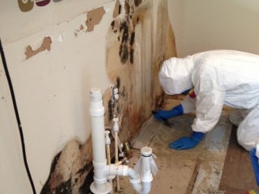 Mold remediation Greensboro NC