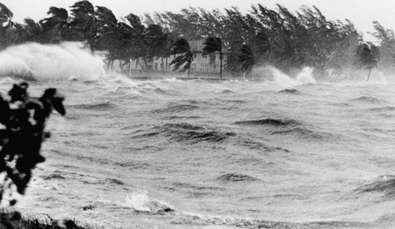 Why You Should Purchase Flood Insurance · Flood Zone D.R.S.
